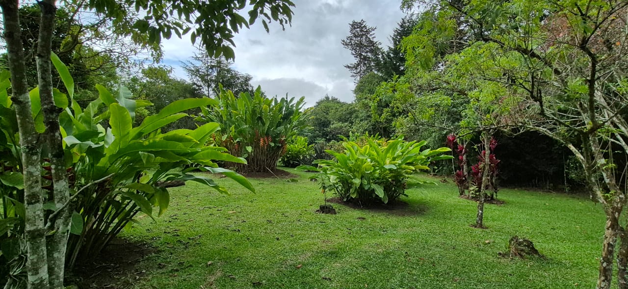 Un respiro entre jardines